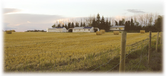 rural scene